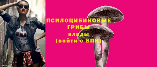 ECSTASY Алексин