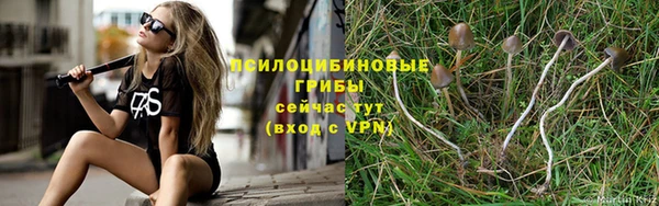 экстази Алзамай